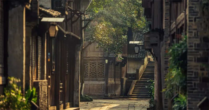 微信圖片_20250530090303.jpg